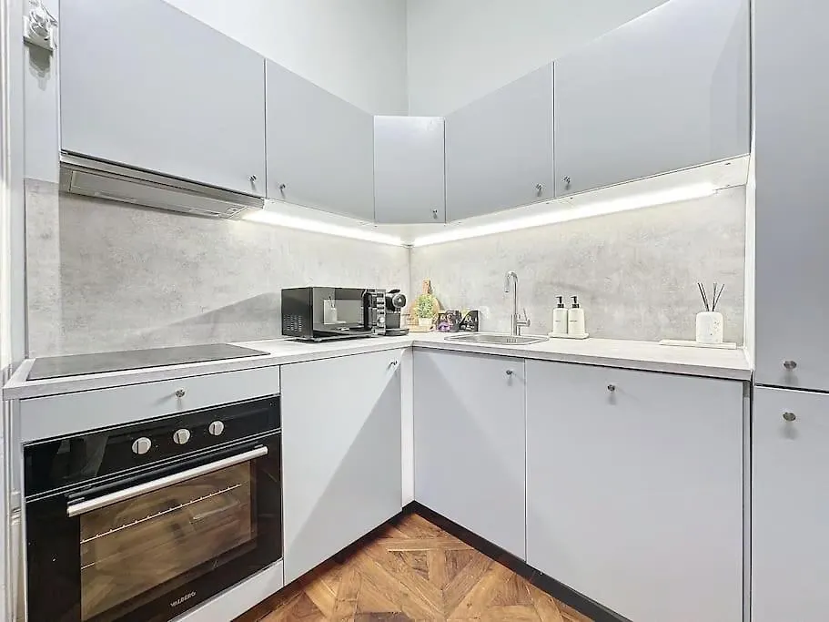 Cosy Appartement, Coeur De Lyon, Plat 0*, Lyon France