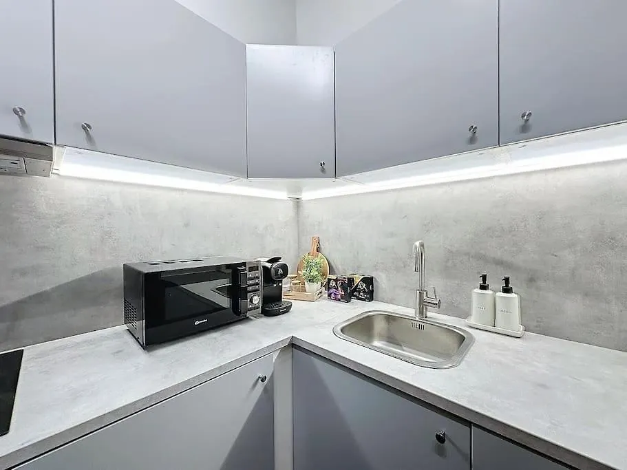 Cosy Appartement, Coeur De Lyon, Plat Lyon