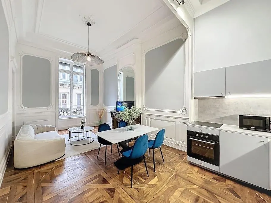 Cosy Appartement, Coeur De Lyon, Plat 0*, Lyon